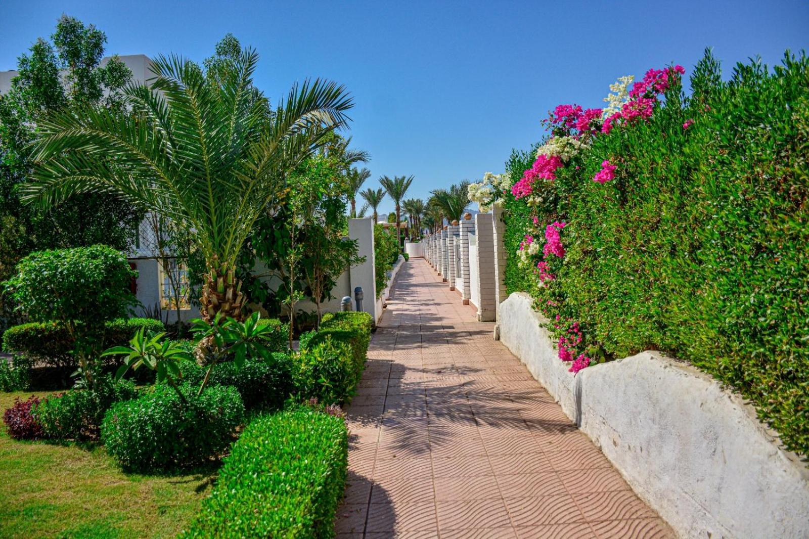 Desert View Sharm Hotel מראה חיצוני תמונה